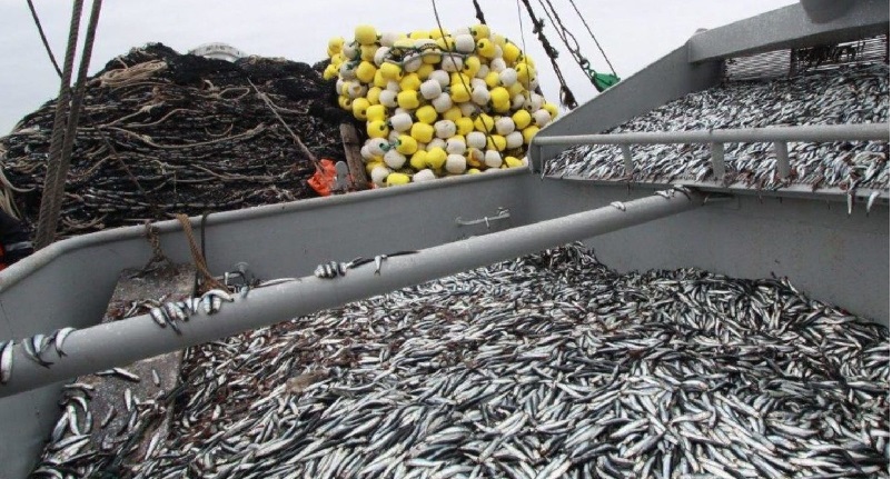 Ảnh minh họa. Nguồn: IT