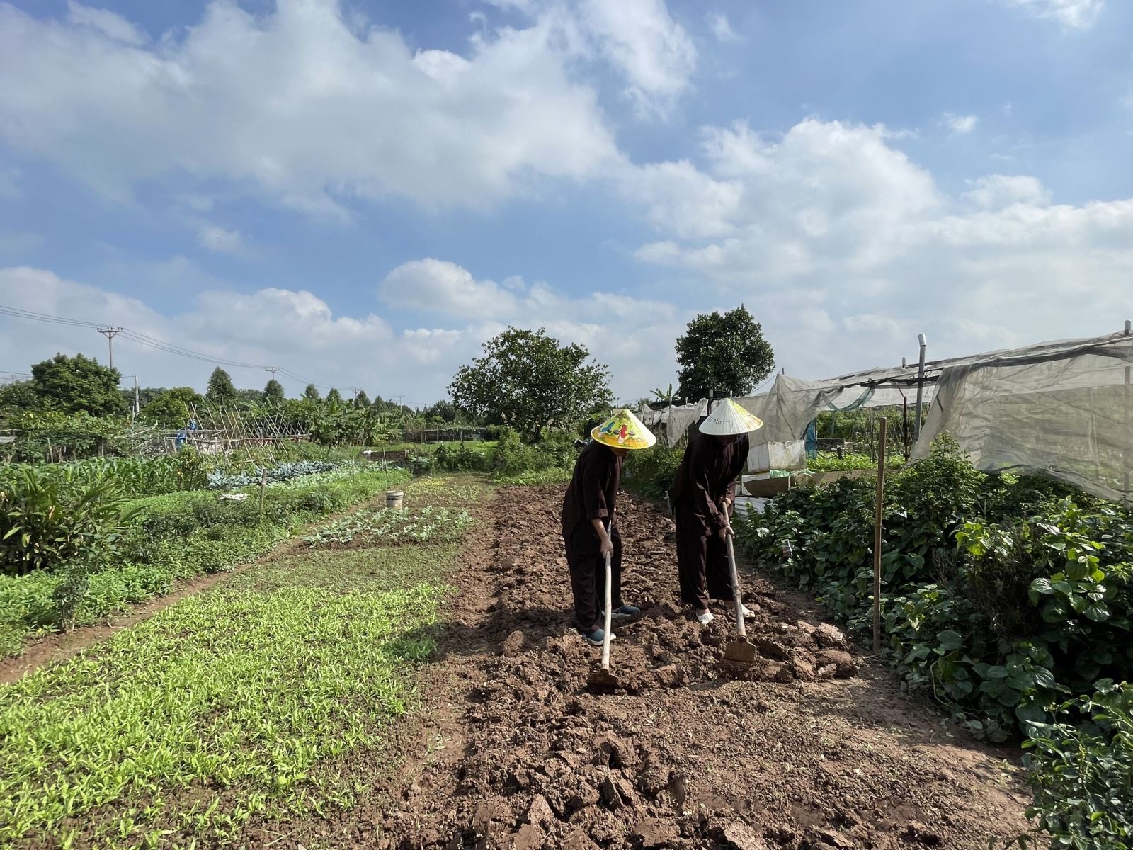 Trải nghiệm du lịch nông nghiệp