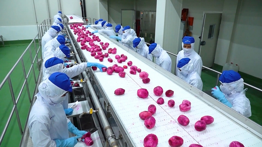 Ảnh minh họa. Nguồn: IT