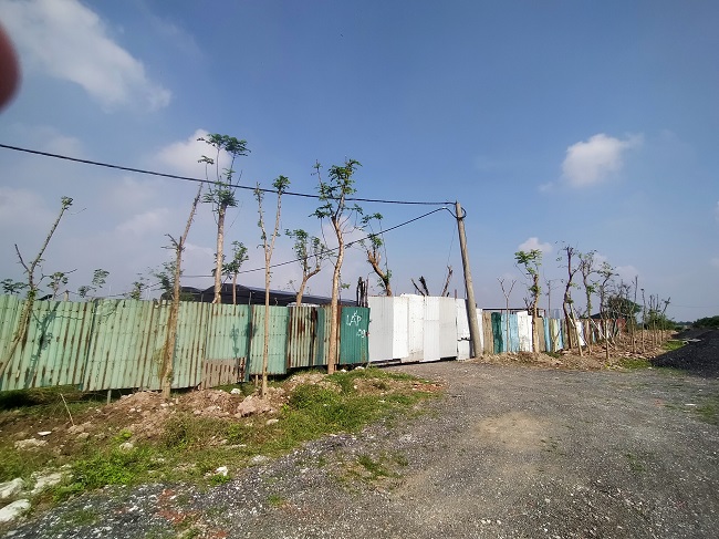 Khu vực rộng lớn tại phía Tây làng, xóm 7, xã Yên Mỹ, các hộ dân mong muốn chính quyền quan tâm hỗ trợ, tháo gỡ khó khăn trong quá trình làm thủ tục hồ sơ để họ tập trung phát triển mô hình sản xuất nông nghiệp tại địa phương.