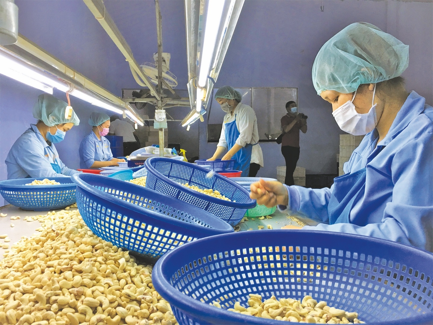 Xuất khẩu xanh với mục đích xanh hóa sản phẩm sẽ giúp khách hàng trên thị trường nước ngoài có thiện cảm hơn với sản phẩm của các doanh nghiệp.