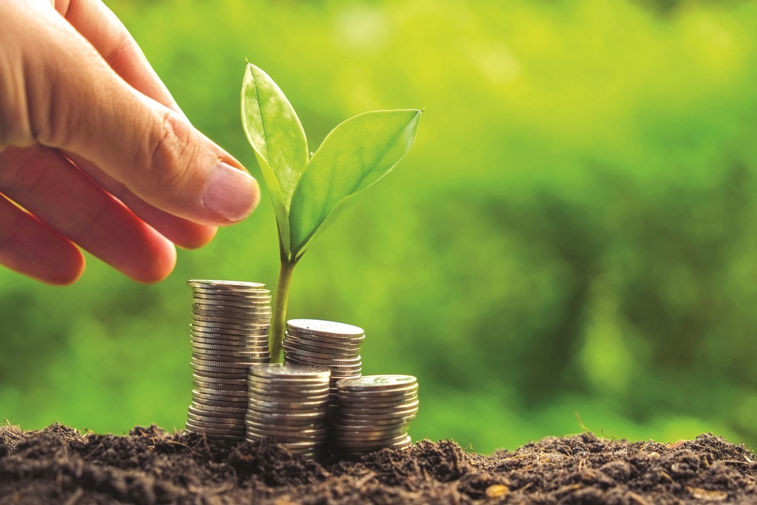 Ảnh minh họa. Nguồn: IT