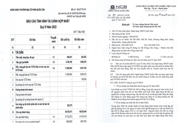Một phần BCTC và Giải trình BCTC của NCB