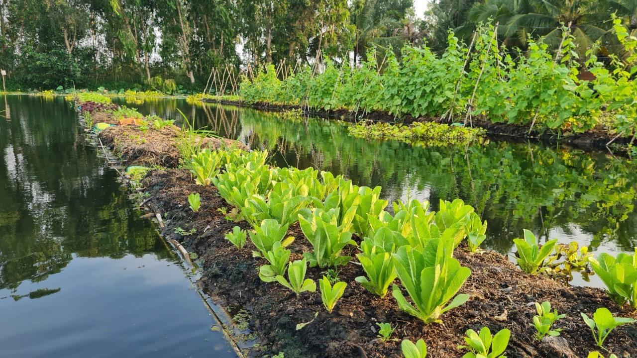 Long An có lợi thế giá đất còn rẻ, chất đất màu mỡ, khí hậu trong lành, phù hợp để phát triển mô hình trang trại, nhà vườn nghỉ dưỡng khép kín.