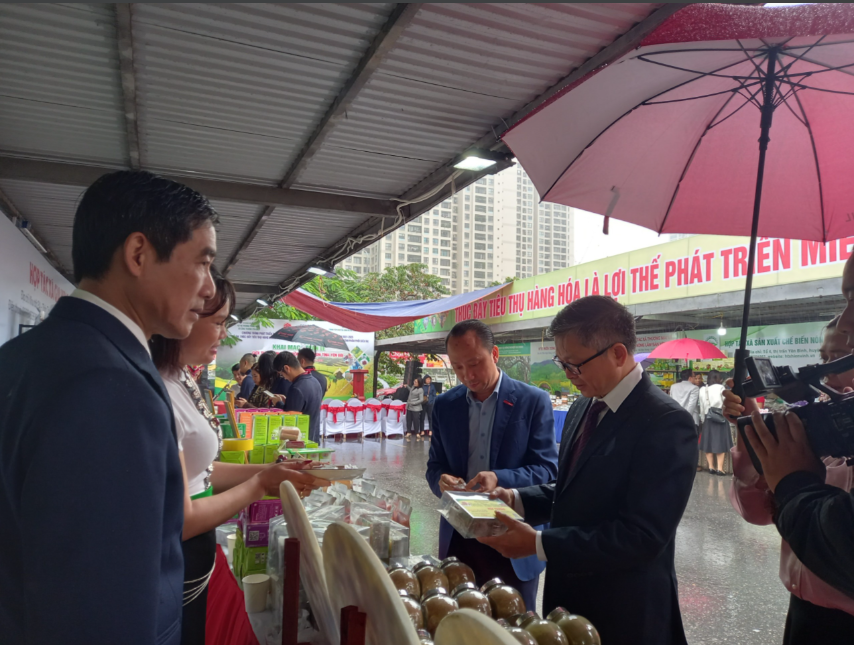 Các đại biểu tham quan các gian hàng.