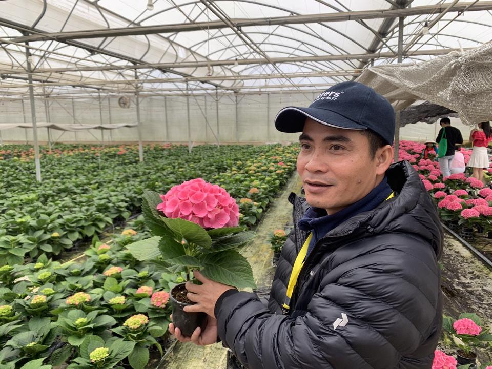 Anh Nguyễn Văn Nghĩa, Giám đốc bộ phận hoa chậu giới thiệu về mô hình chăm sóc hoa tại nhà kính