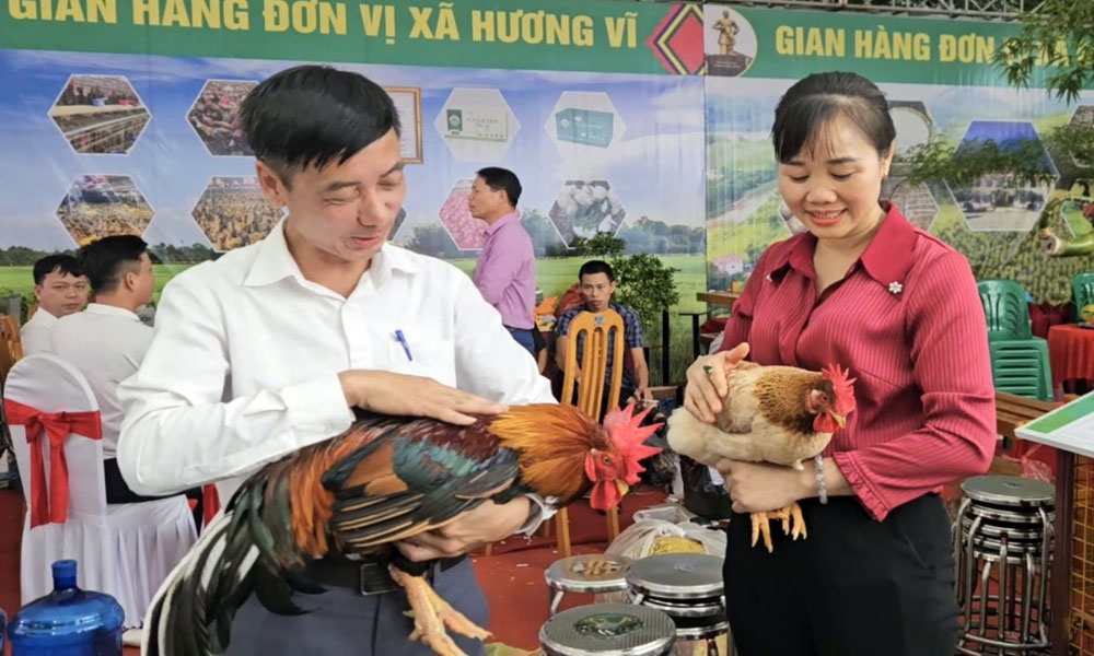 đôi gà đoạt giải Nhất của xã Hương Vĩ được trả giá 150 triệu đồng.