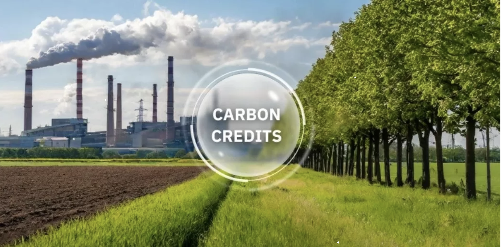 Một tín chỉ carbon tương đương với một tấn carbon dioxide (CO2) được giảm phát thải hoặc hấp thụ khỏi bầu khí quyển