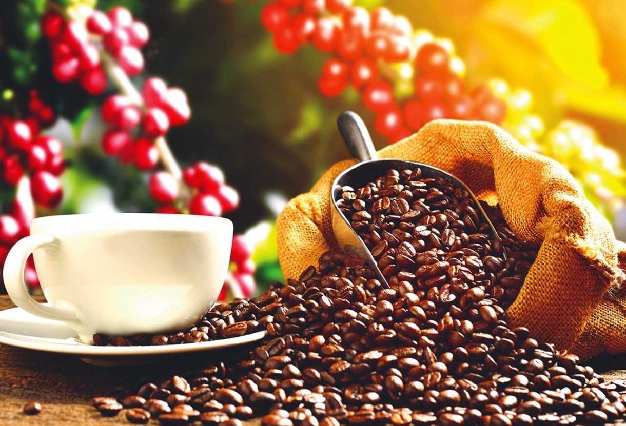 cà phê Việt Nam không chỉ giữ vững vị thế mà còn vươn lên mạnh mẽ, thiết lập những kỷ lục vô tiền khoáng hậu