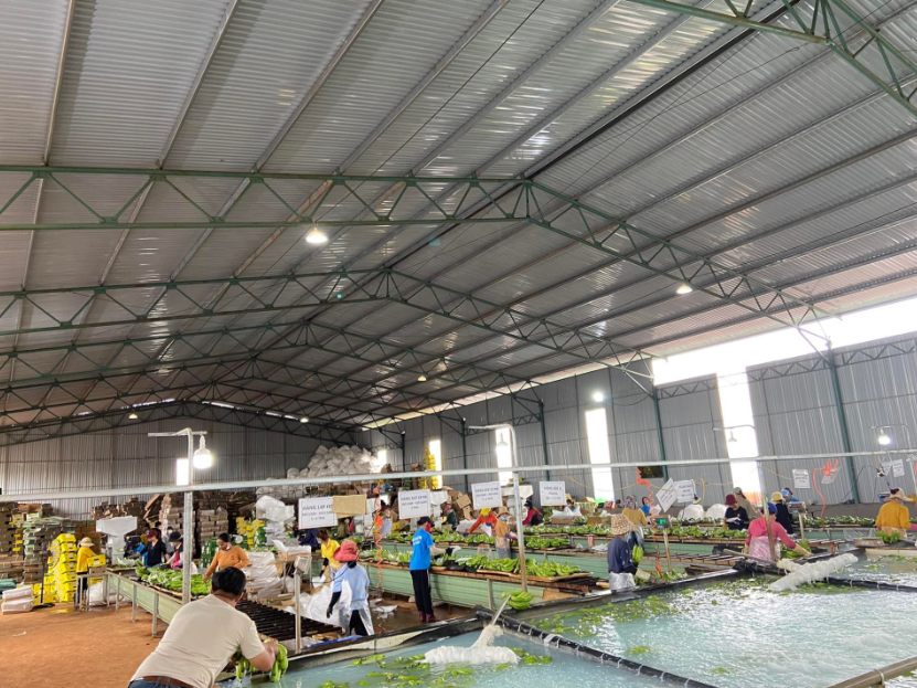 Bên trong nhà máy chế biến chuối xuất khẩu của Công ty CP Hoàng Anh Gia Lai. (Ảnh: Internet)