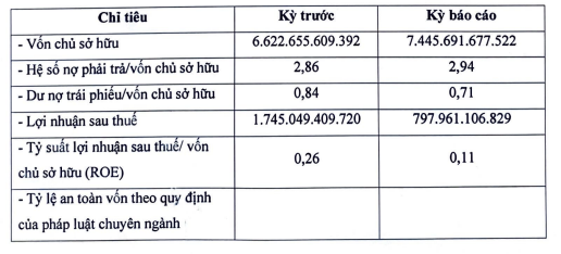Thông tin tình hình tài chính của BIM Land năm 2023. (HNX)