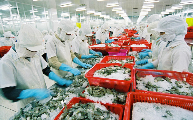 Nhiều lãnh đạo doanh nghiệp thuỷ sản bị các tổ chức tín dụng đen quấy nhiễu, đe doạ. Ảnh minh hoạ