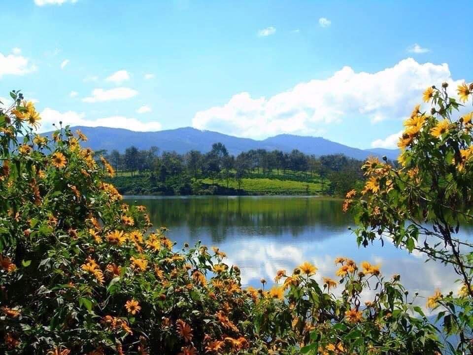 Với khí hậu trong lành, thiên nhiên ưu đãi, nhiều giá trị văn hoá, bản sắc cộng đồng còn lưu giữ, Di Linh có nhiều tiềm năng về phát triển du lịch.