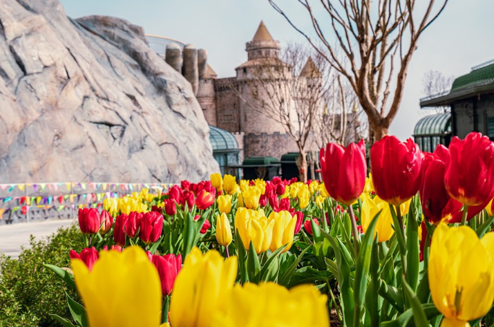 Bà Nà chào xuân bằng hàng loạt lễ hội hoa đặc sắc.