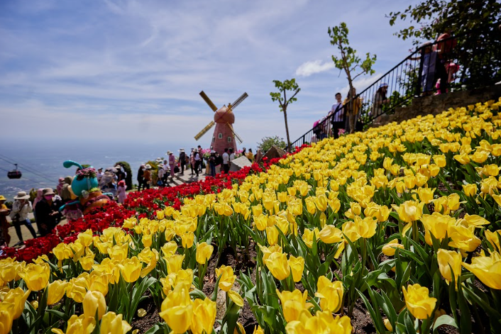 Núi Bà Đen thu hút du khách với sắc hoa rực rỡ.