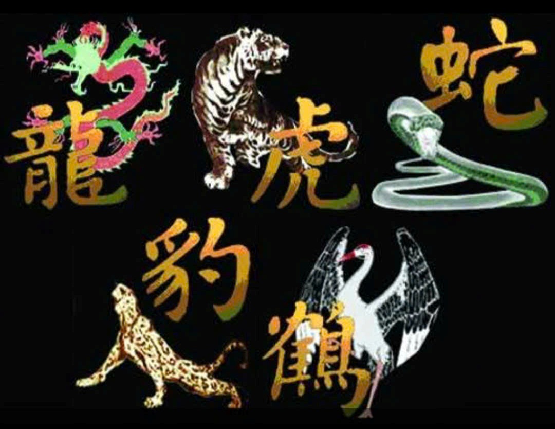 Long, Xà, Hổ, Báo, Hạc là nguồn cảm hứng cho các bậc danh võ sáng tạo ra bài Ngũ hình quyền