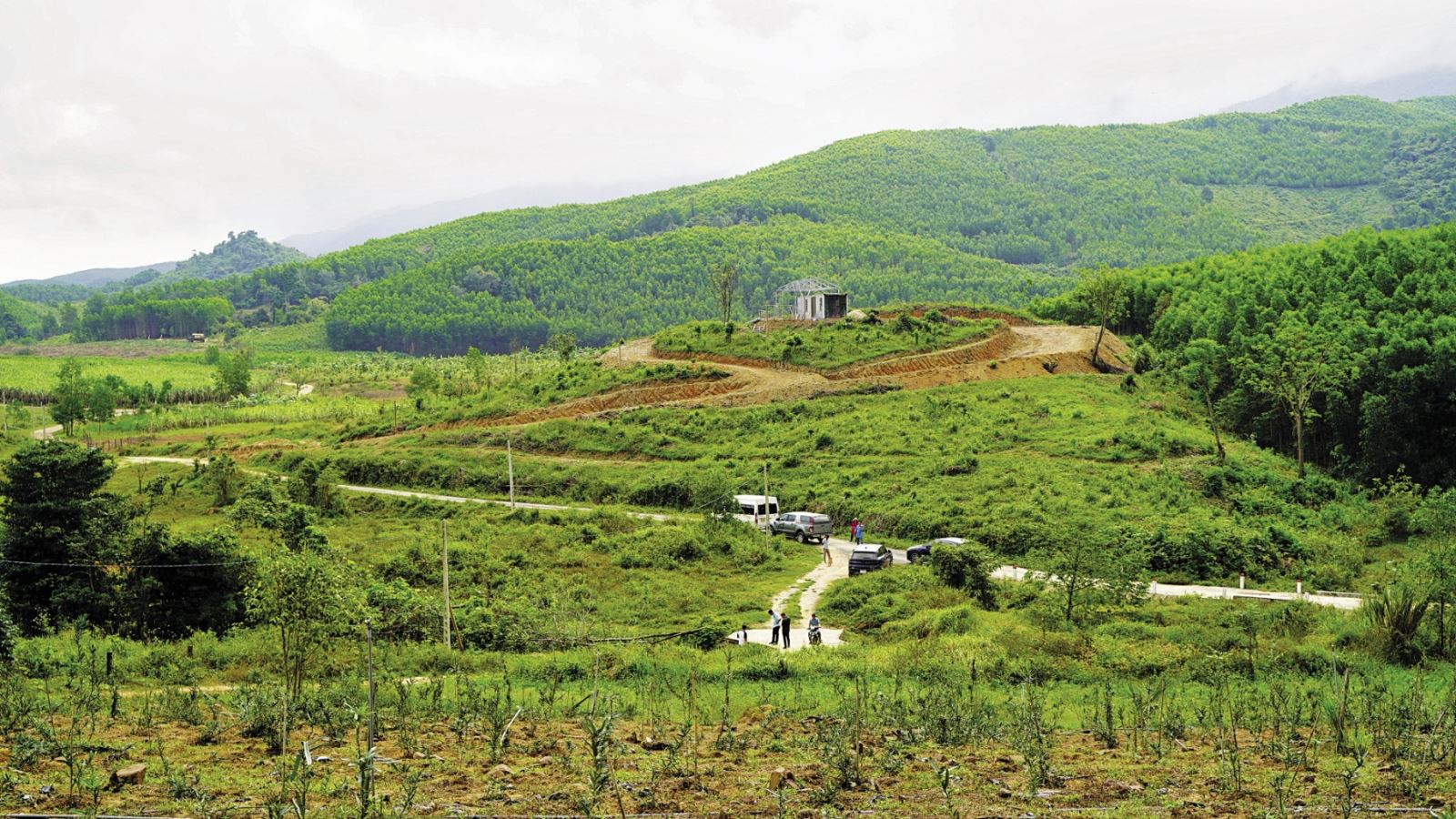 Đẩy mạnh phát triển nông nghiệp xanh, nông nghiệp kết hợp du lịch tại Khánh Hòa (ảnh: sưu tầm)