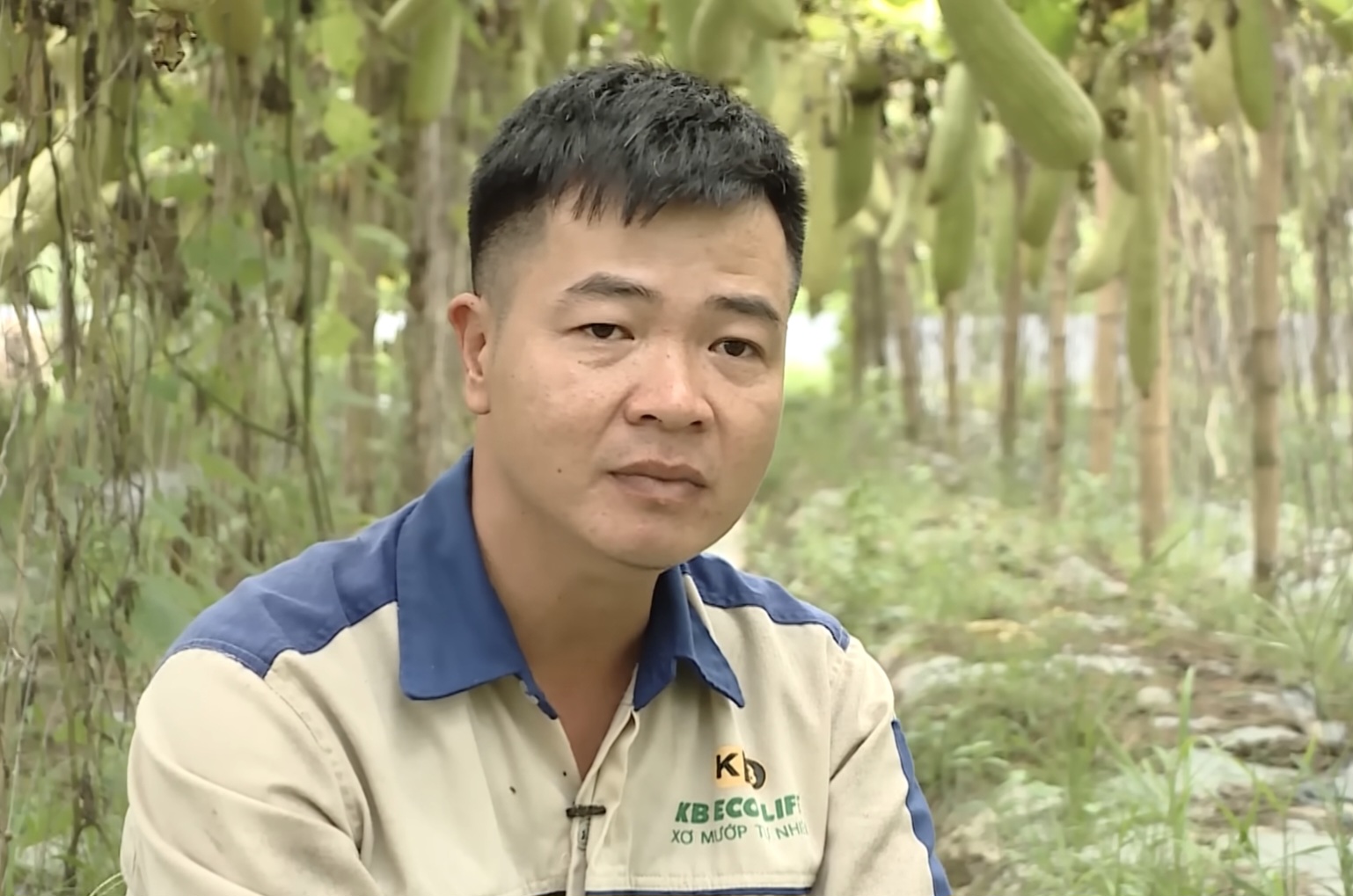 Anh Tạ Quý Tôn quyết tâm phát triển các sản phẩm sạch từ xơ mướp.