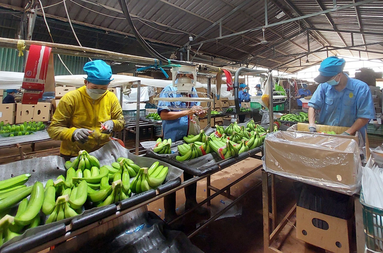 Tháo gỡ nút thắt hoàn thuế là yêu cầu cấp thiết để doanh nghiệp duy trì dòng vốn, ổn định sản xuất - xuất khẩu. 