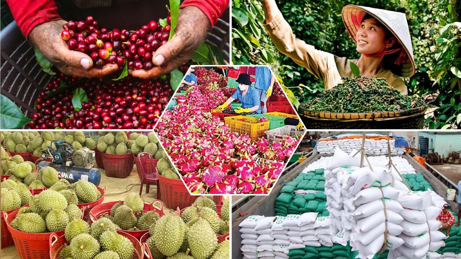 Bộ Tài chính đã trình Quốc hội dự án Luật sửa đổi với ba đề xuất then chốt nhằm hoàn thiện chính sách thuế, giảm áp lực vốn và chi phí tạm ứng thuế cho doanh nghiệp