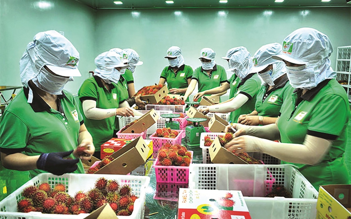 Bộ Tài chính đã đề xuất bãi bỏ quy định điều kiện hoàn thuế VAT phụ thuộc vào việc người bán đã kê khai, nộp thuế.