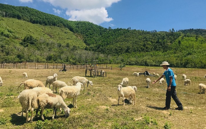 Ảnh minh hoạ: Internet