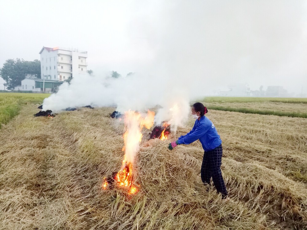 phạt tiền từ 2,5-3 triệu đồng đối với hành vi đốt ngoài trời phụ phẩm từ cây trồng cạnh khu vực dân cư, sân bay, các tuyến giao thông chính. Ảnh: BNA