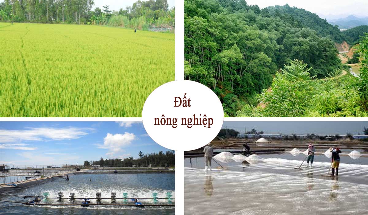Người dân bị thu hồi đất nông nghiệp sẽ được vay vốn ưu đãi ngân hàng để đi làm việc ở nước ngoài từ 1/8/2024