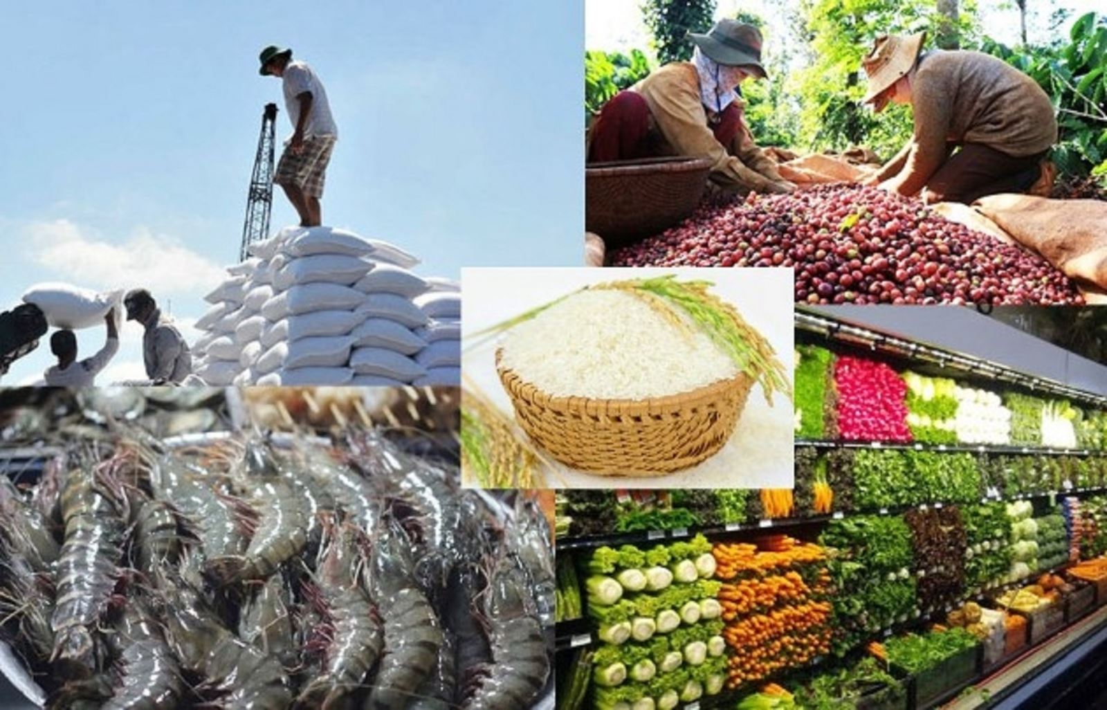 nông sản và thủy sản vẫn đang kiên cường khẳng định vai trò trụ cột trong cỗ xe xuất khẩu của Việt Nam