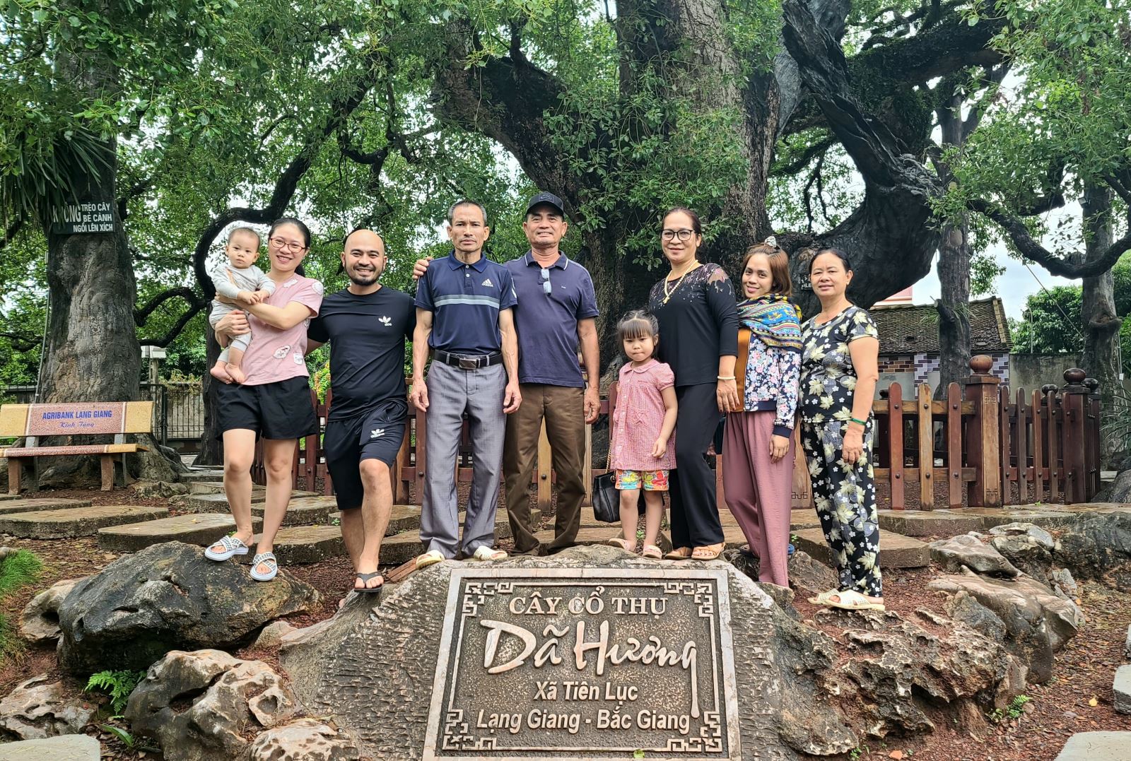 Cây Dã Hương nghìn năm tuổi nằm trong Cụm Di tích quốc gia đặc biệt xã Tiên Lục, huyện Lạng Giang.