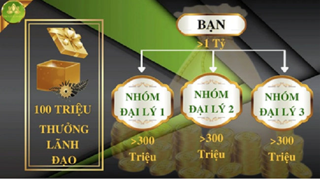 Công ty có các dấu hiệu kinh doanh đa cấp không phép (Ảnh: Bộ Công Thương)