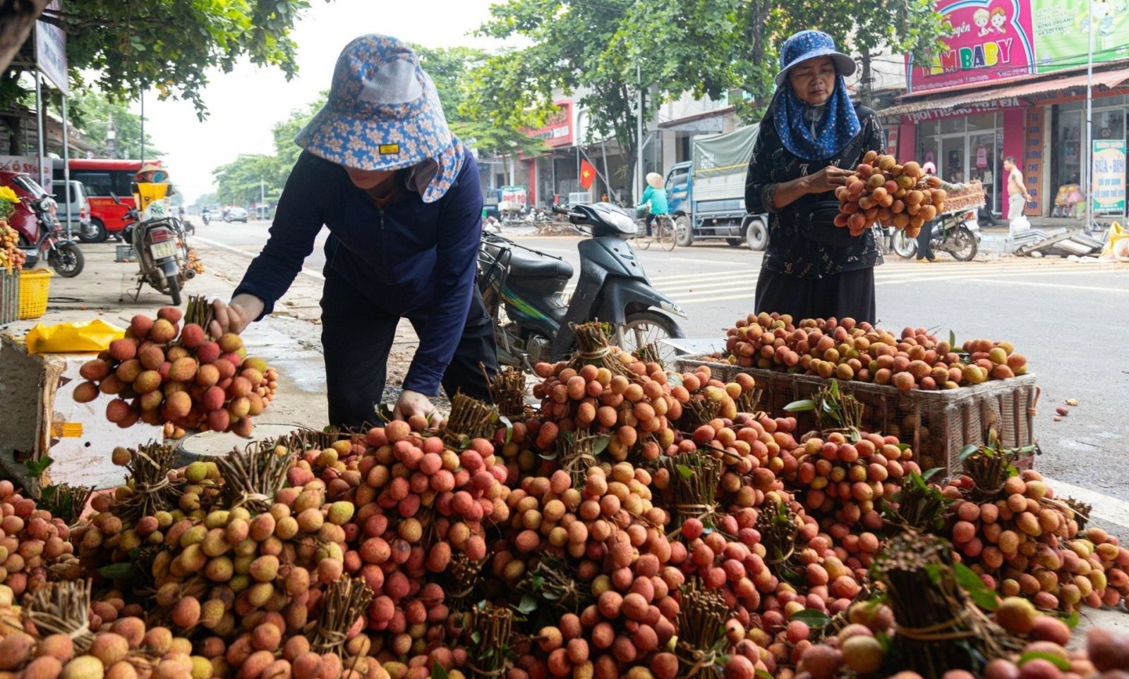Các điểm thu mua vải năm nay không đông đúc như năm 2023.