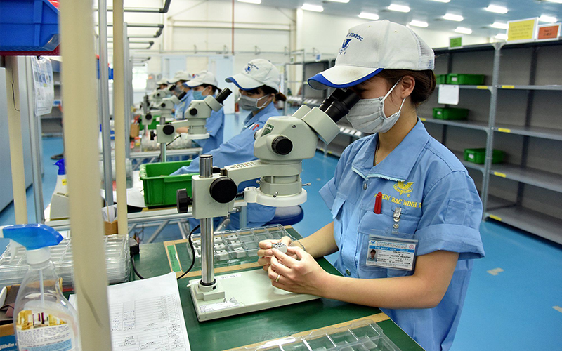 Dự kiến các