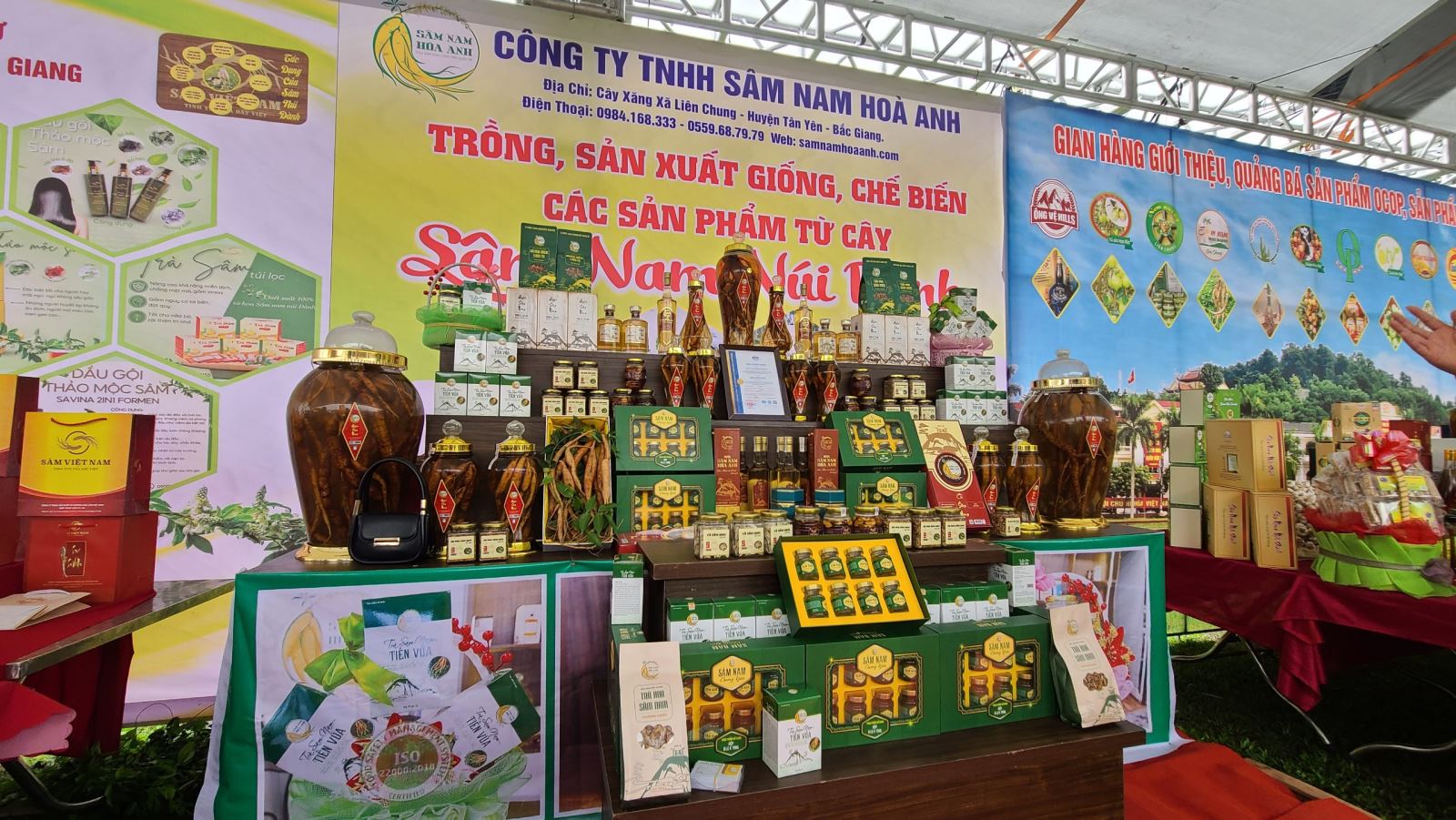 Sản phẩm Sâm nam núi Dành được Công ty TNHH Sâm nam Hòa Anh chế biến.