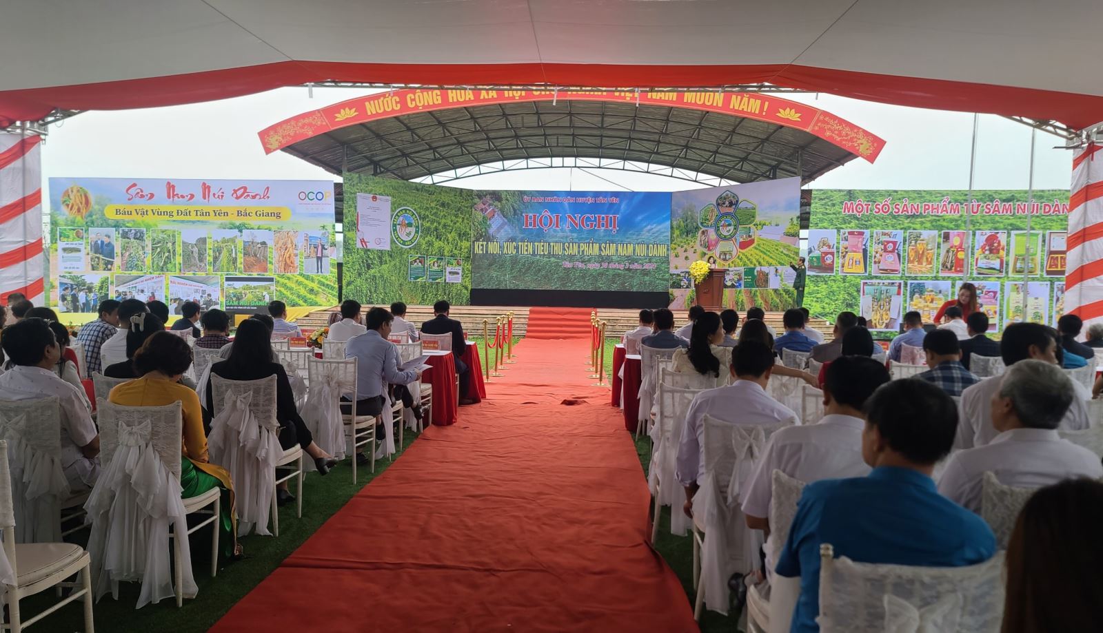 Hội nghị Xúc tiến tiêu thụ Sâm nam núi Dành năm 2024.