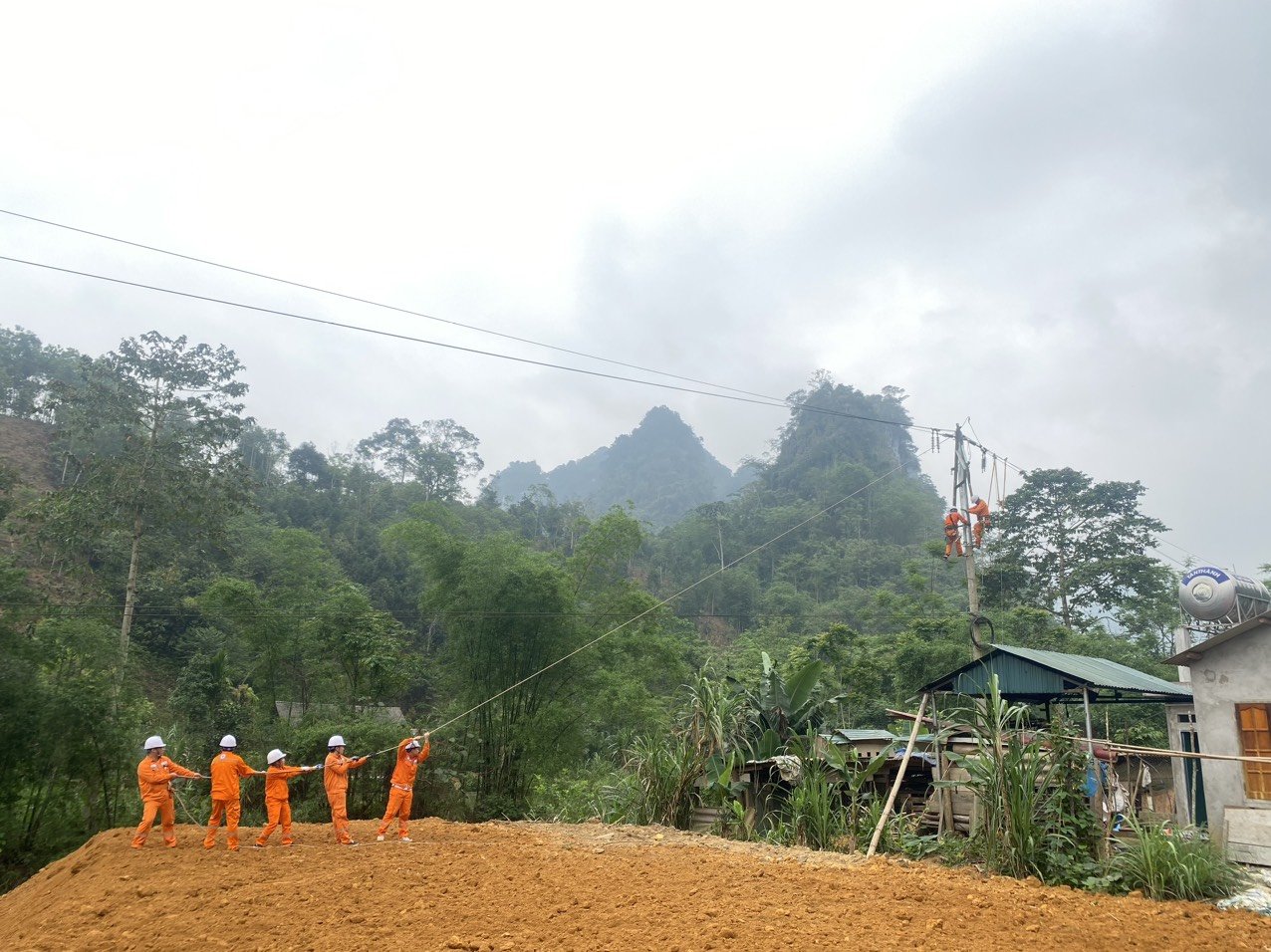 Điện lực Na Hang xử lý khoảng cách pha đất đảm bảo an toàn hành lang lưới điện