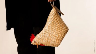 188172258 807798653494267 7373508584869795318 N