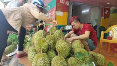 Mẹ 'nghiện' sầu riêng mách bí kíp chọn trái an toàn, béo ngậy, cơm vàng