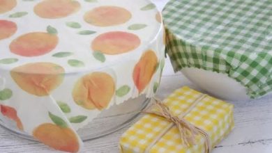 241303100 2686562014822601 5954975768526675982 N