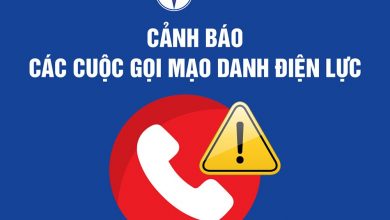 Mao Danh Nhan Vien Dien Luc De Lua Dao