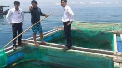 agribank ly son rot von giup ngu dan bam bien hinh anh 1