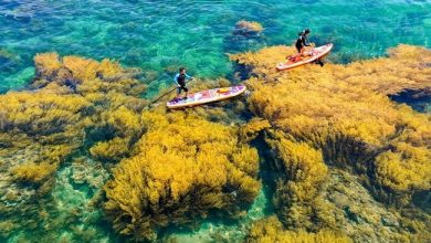 Z3352085565975 C2dc77d8b747c7c2e3ef5dd08e59bbde