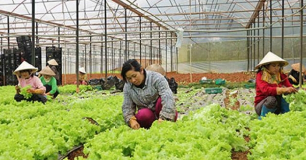 goc khuat tu nguoi nong dan hinh anh 1