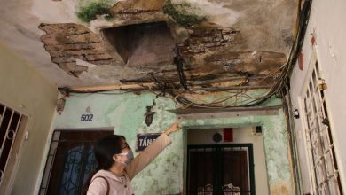 8ebf5959 F92c 4fd7 8b32 Ccd8bc59ba70