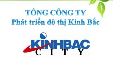 Bien Dong Buc Tranh Tai Chinh Tai Kinh Bac