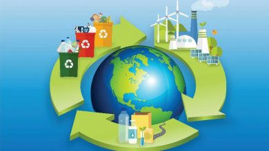 Enthoiphattriendoanhnghiepbenvung 1577776933 1577776973 750x0 C5387