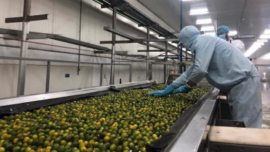 San Xuat De Chong Dich Chong Dich De San Xuat