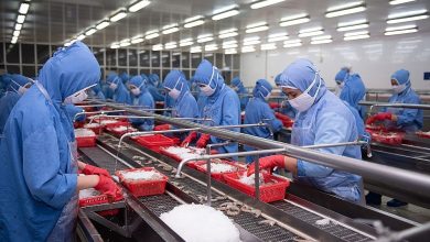 Thieu Lao Dong Hang Loat Doanh Nghiep Thuy San Gap Kho Khan