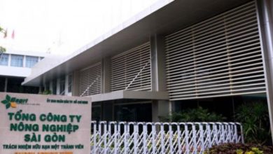 tong giam doc sagri le tan hung bi ky luat ‘ha bac luong’ hinh anh 1