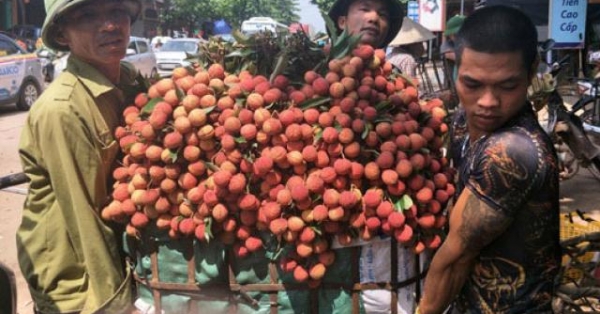 390 thuong nhan trung quoc 